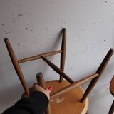 Two Scandinavian Chairs by Yngve Ekstrom for Pastoe 1960