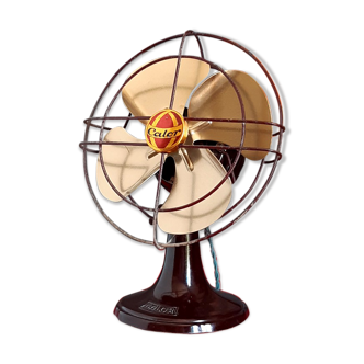 Calor fan 1951