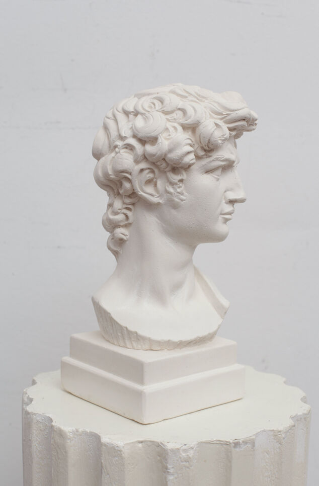 David head in white plaster