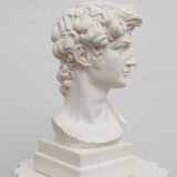 David head in white plaster