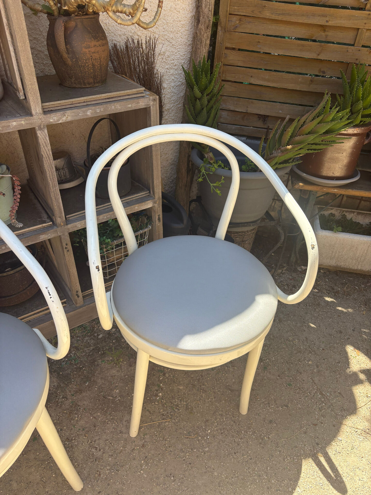 Thonet chairs "the curvaceous one"