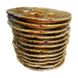 12 ancient shell plates in sarreguemines