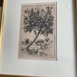 Dessin à l’encre  P.Baudier