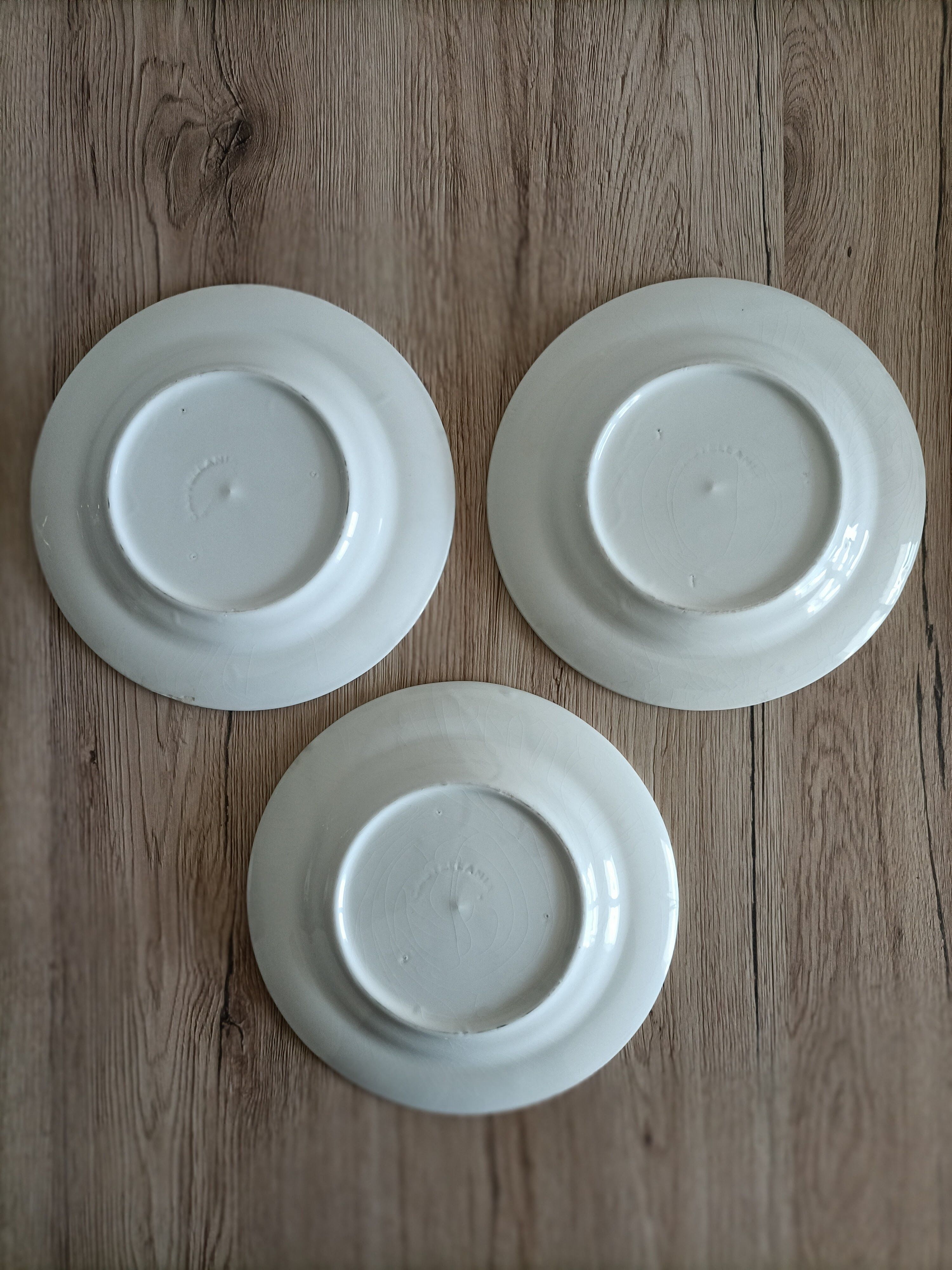 Blue porcelain onion plates