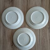 Blue porcelain onion plates