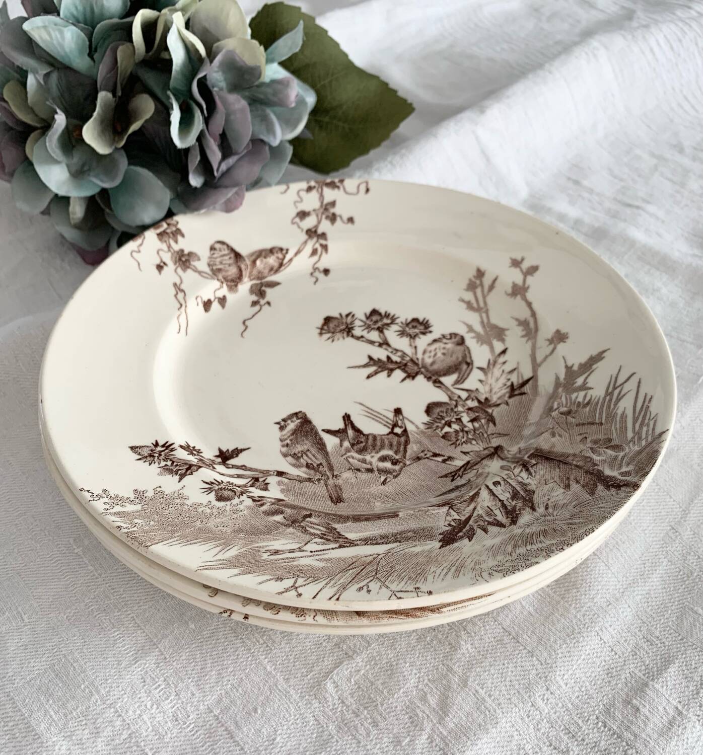 Dessert plates creil et montereau service chardonneret