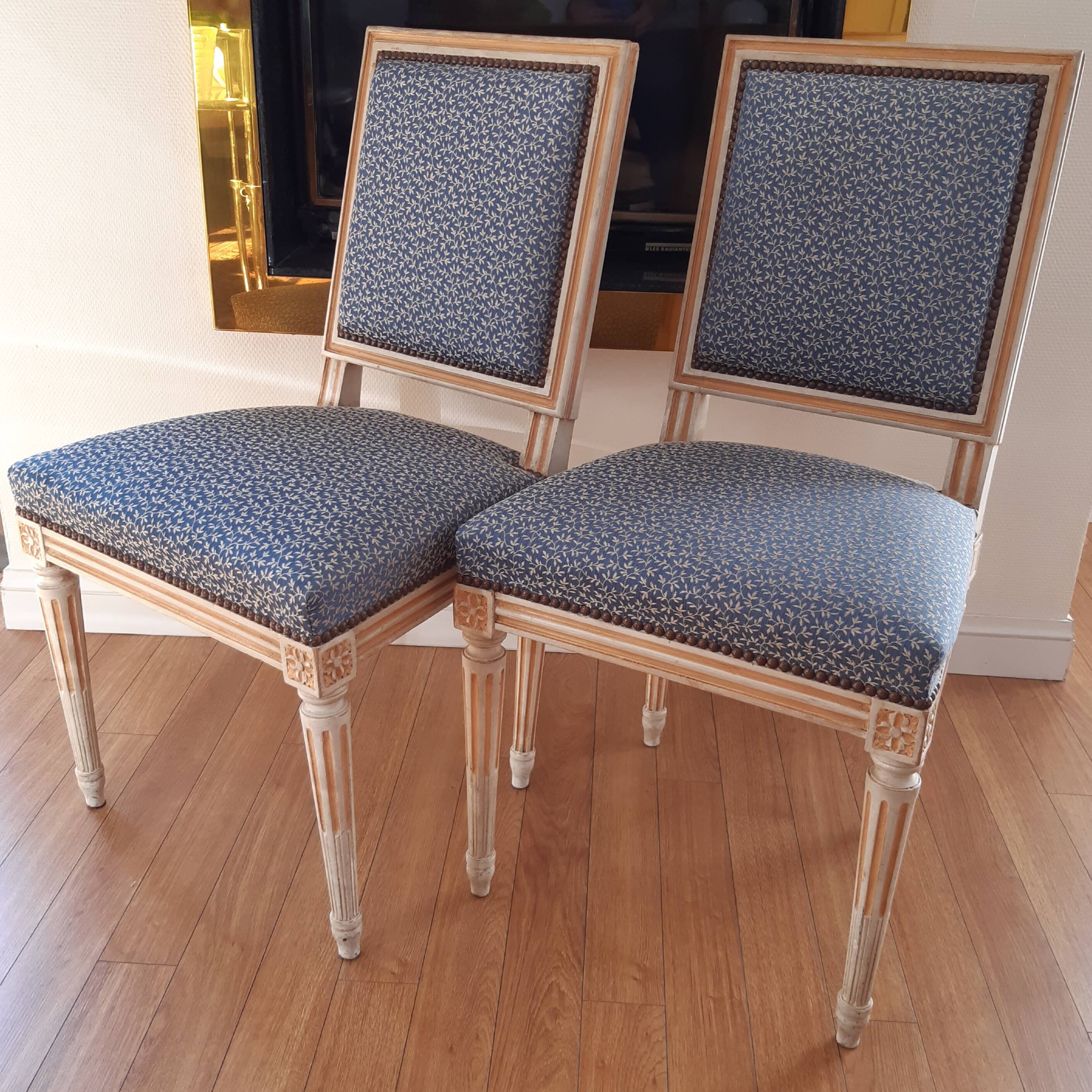 Two Louis XVI Jacob style chairs early 20th