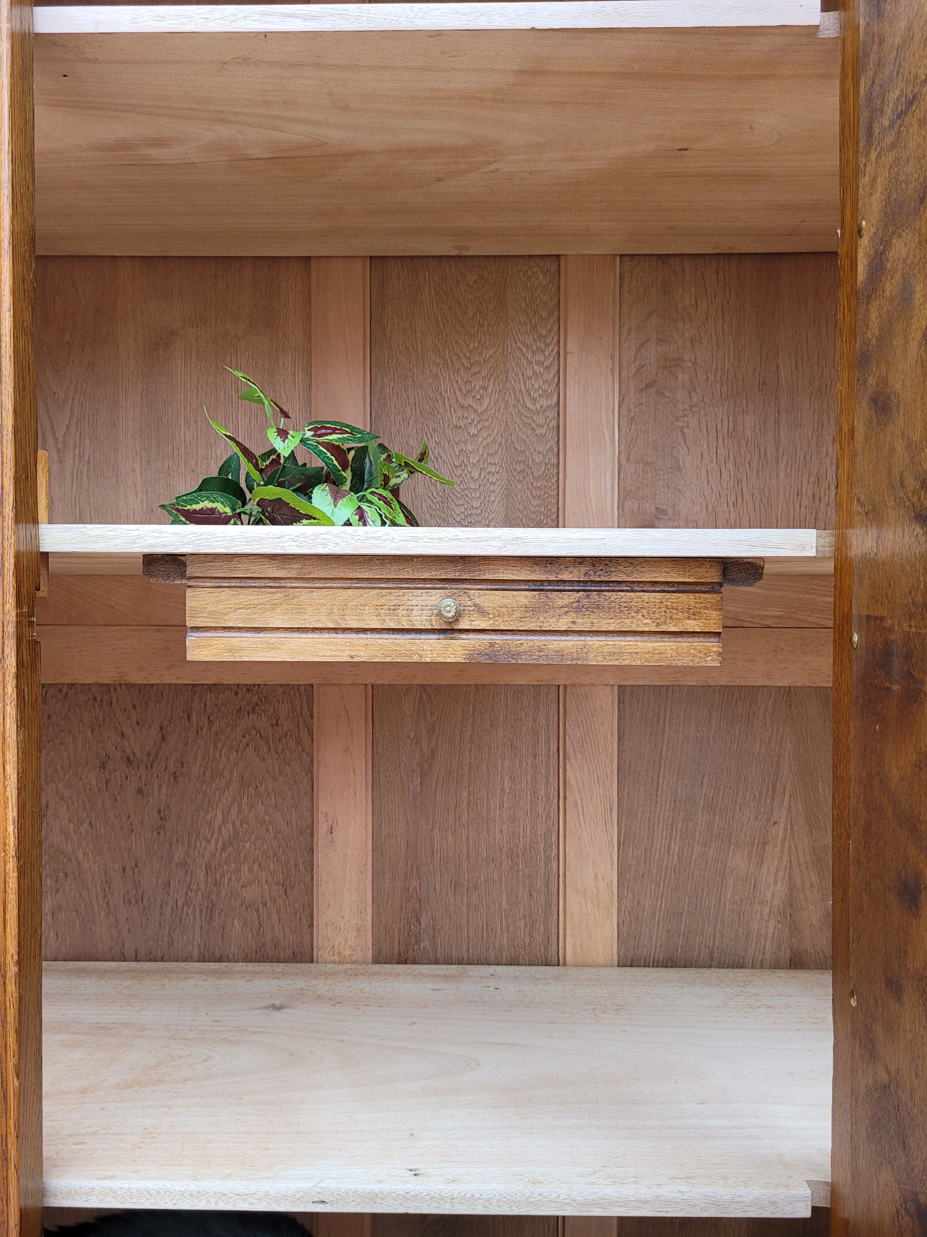 Parisian art deco wardrobe