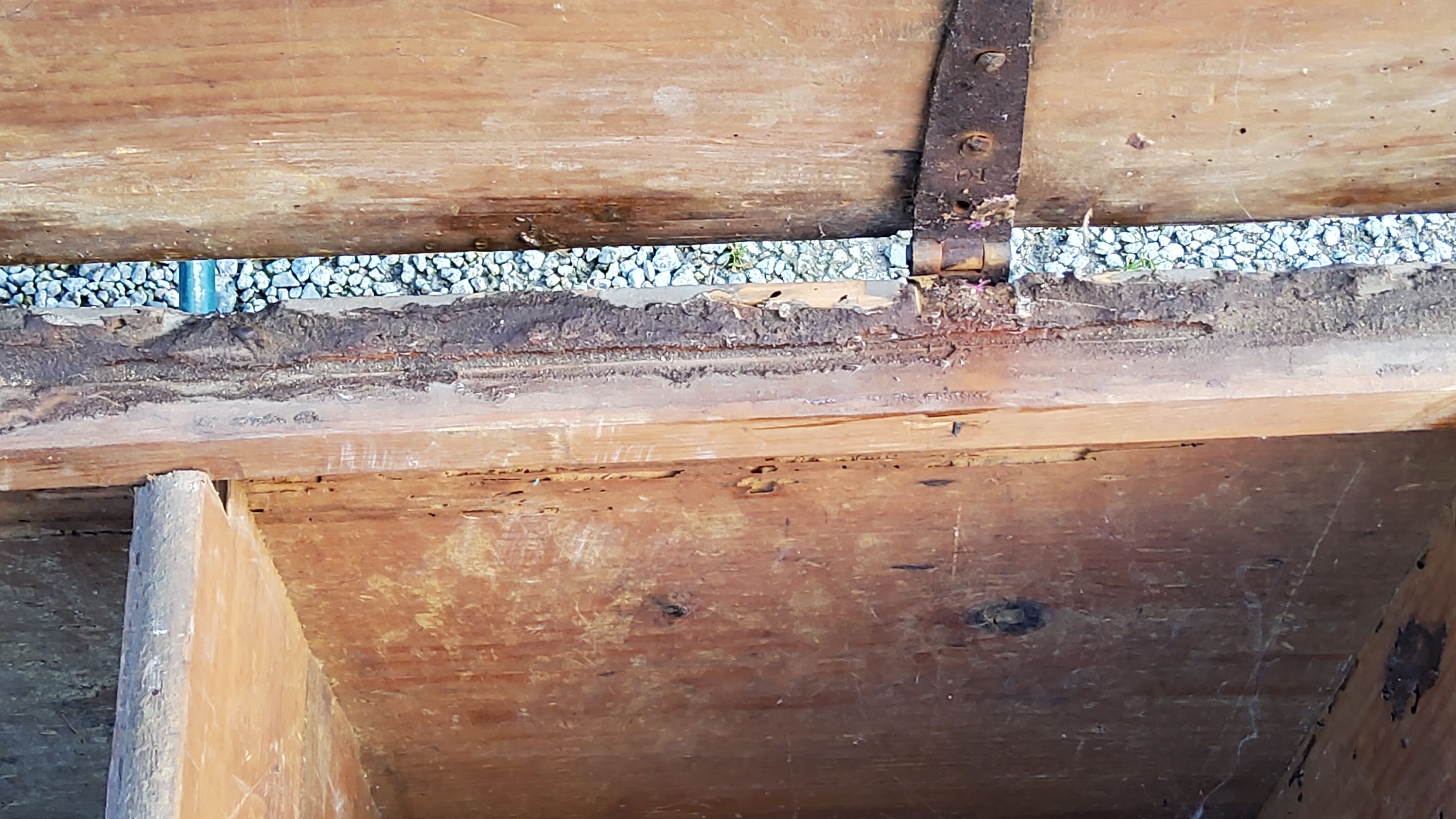 Alsatian polychrome wedding chest eighteenth -nineteenth century