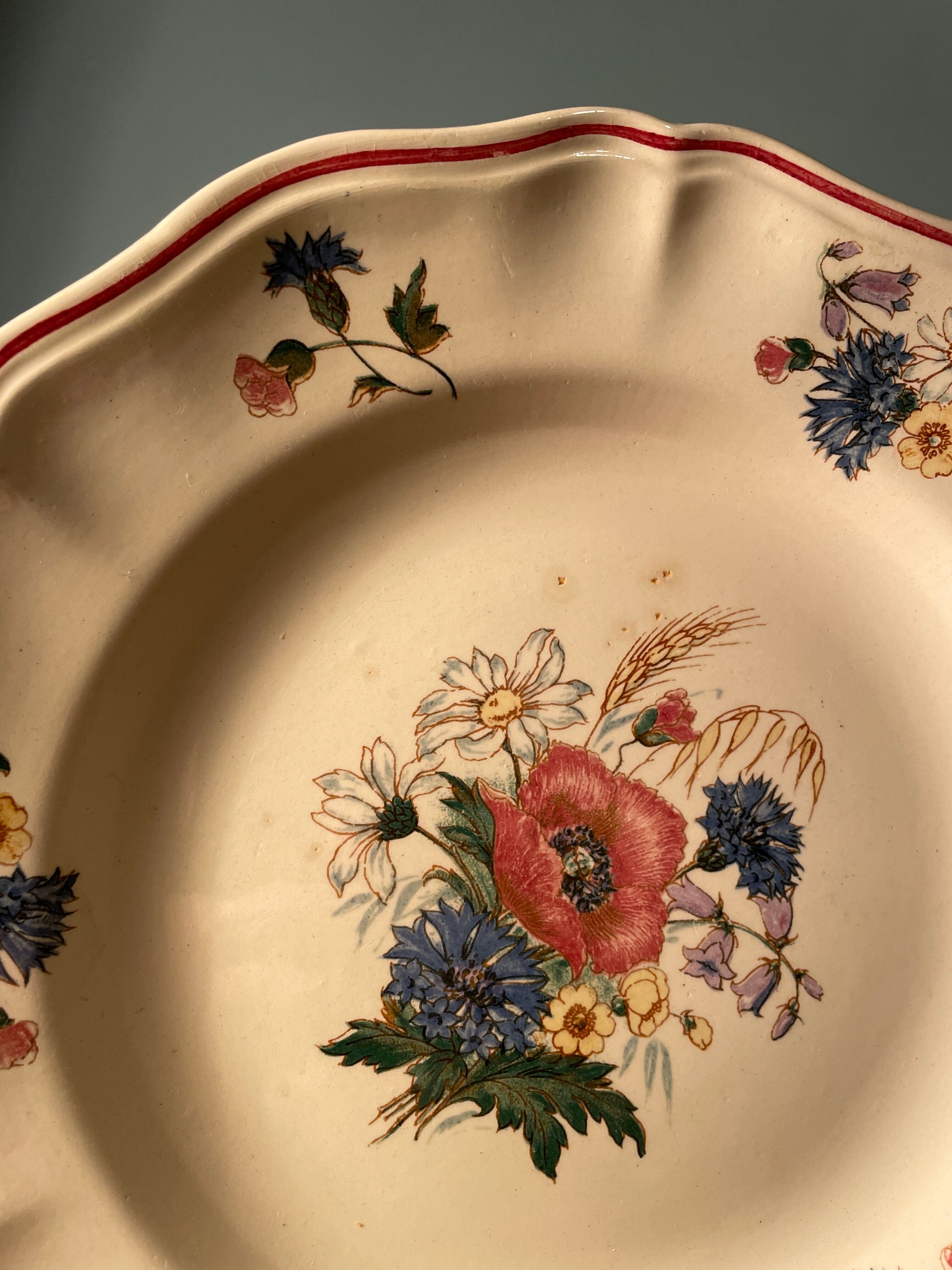 Set of 8 flat plates in Digoin Sarreguemines earthenware, Agreste model