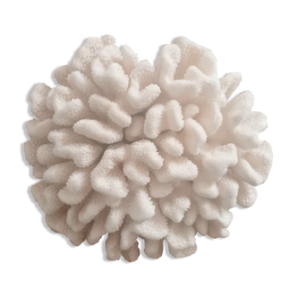 Hard white coral block, 70s