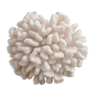 Hard white coral block, 70s