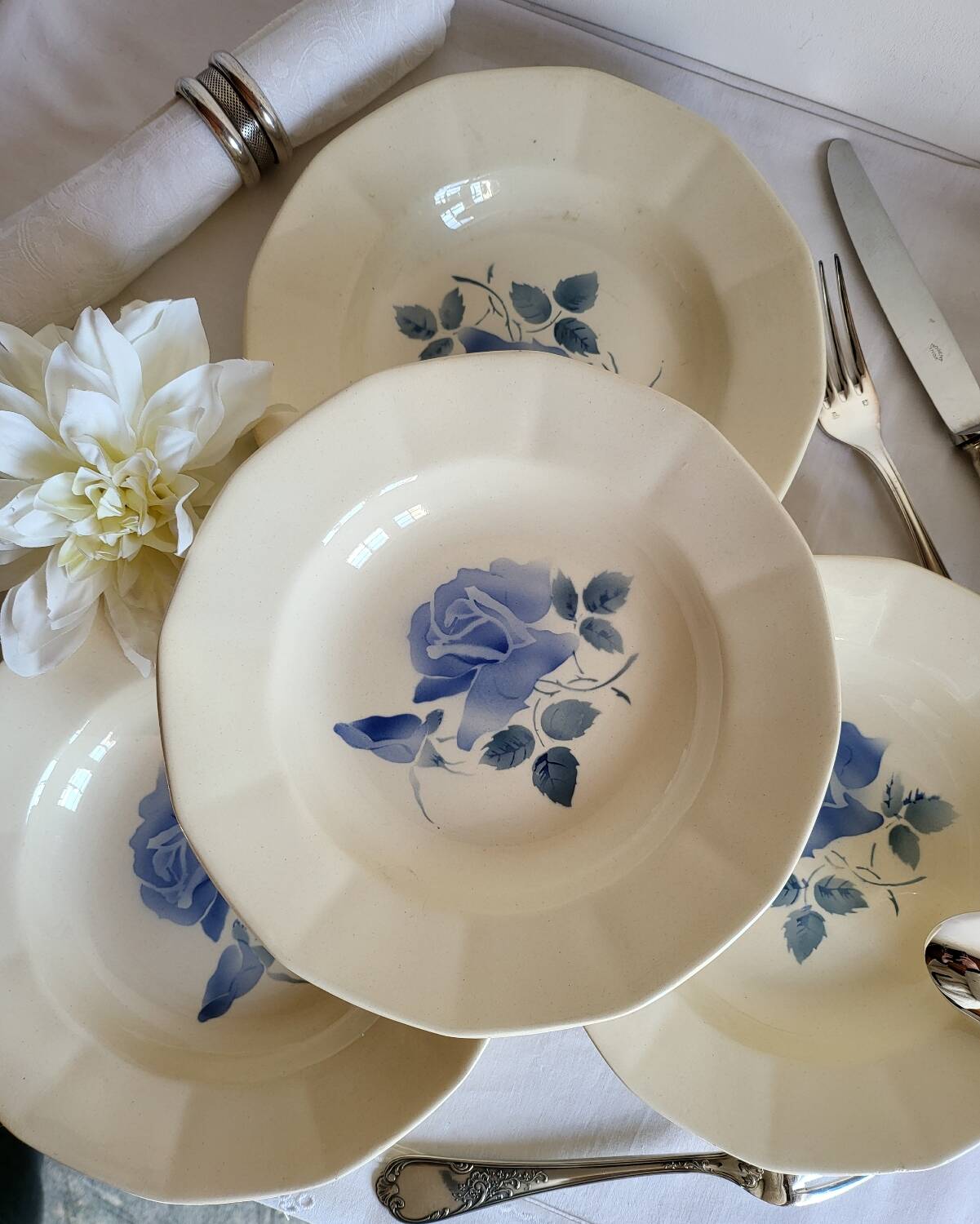 7 vintage deep plates in earthenware from Digoin Sarreguemines