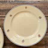Old faience plates with flowers