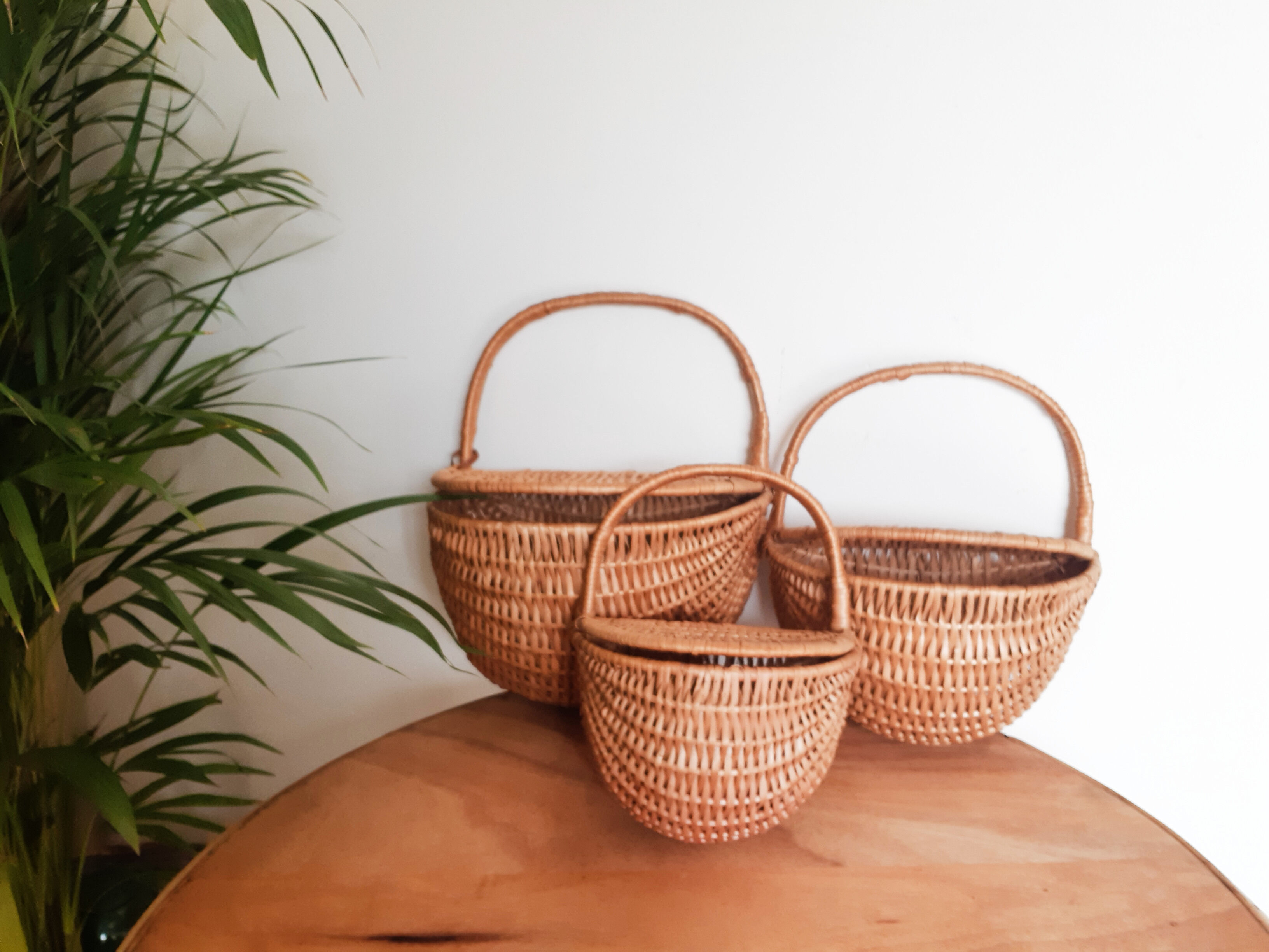Set of 3 rattan baskets, with lid