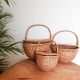 Set of 3 rattan baskets, with lid