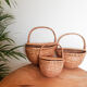 Set of 3 rattan baskets, with lid
