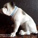 Gräfenthal - porcelain dog - H 12 cm