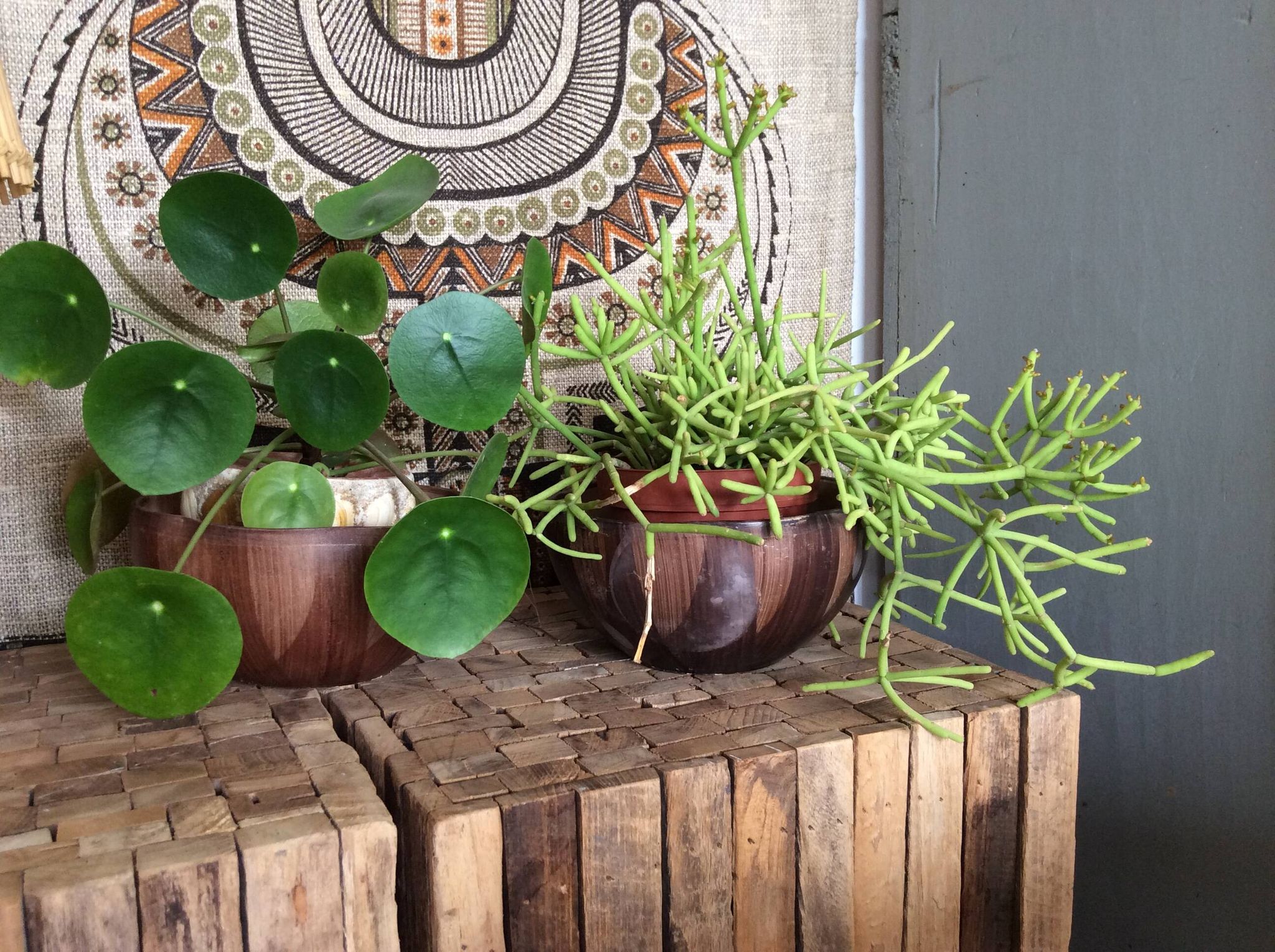 Plant pots