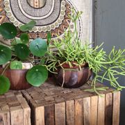 Plant pots
