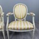 Pair of Medallion Armchairs in Louis XVI Style with Footrests, 20th Century