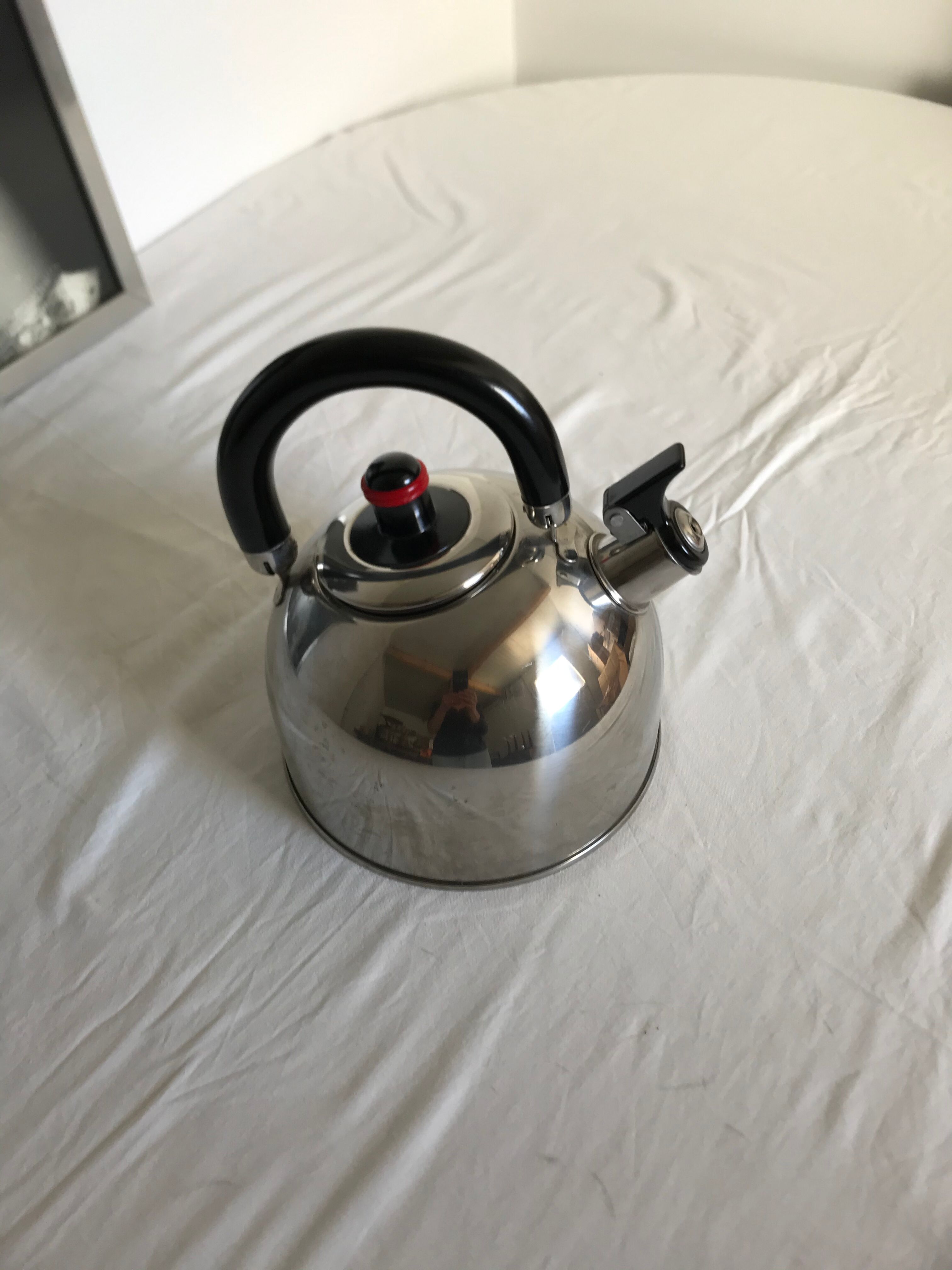 Stainless steel teapot
