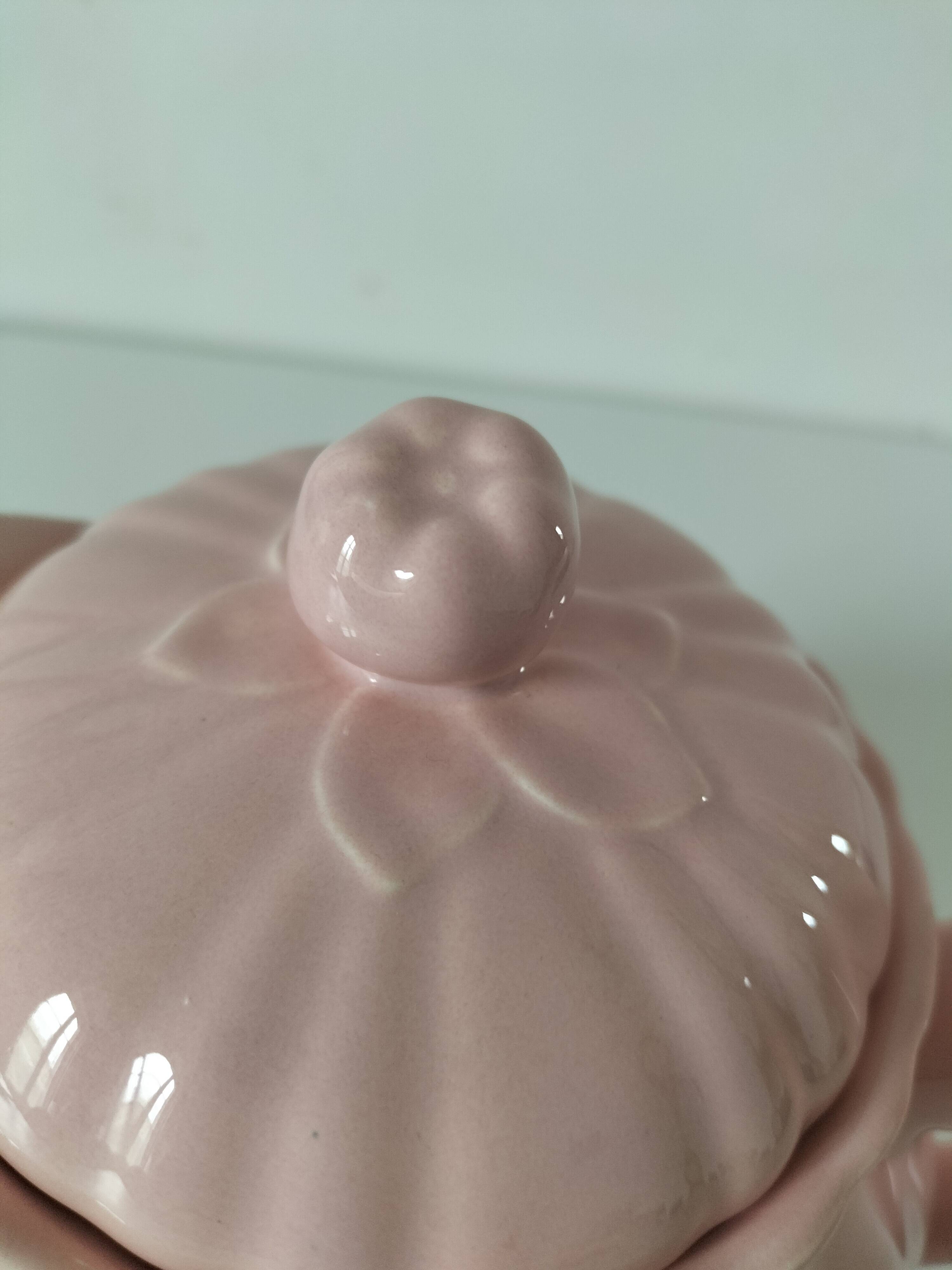 Vintage mid-century ribbed pink powder teapot by Salins.