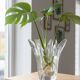 Vase Daum France en cristal massif – Pièce authentique et sculpturale hydro