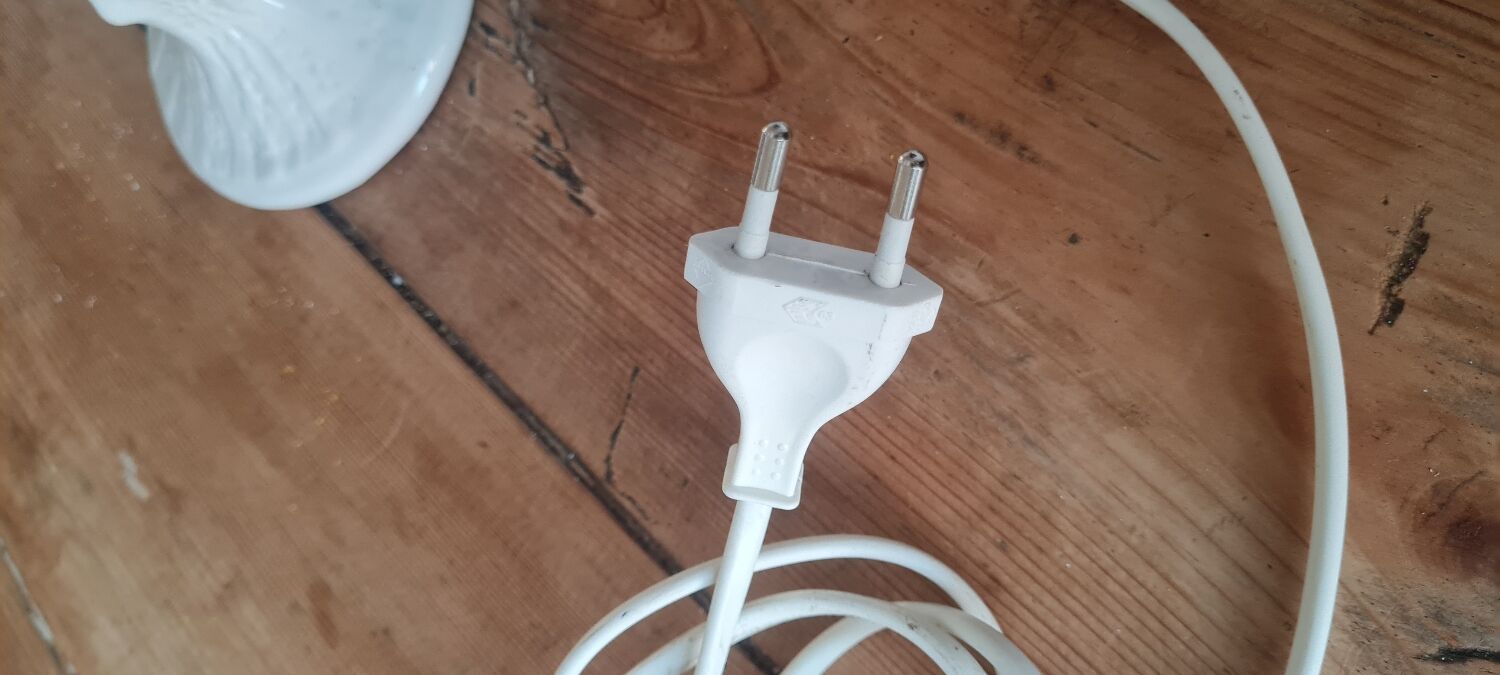 Ceramic palm lamp and white opaline globe