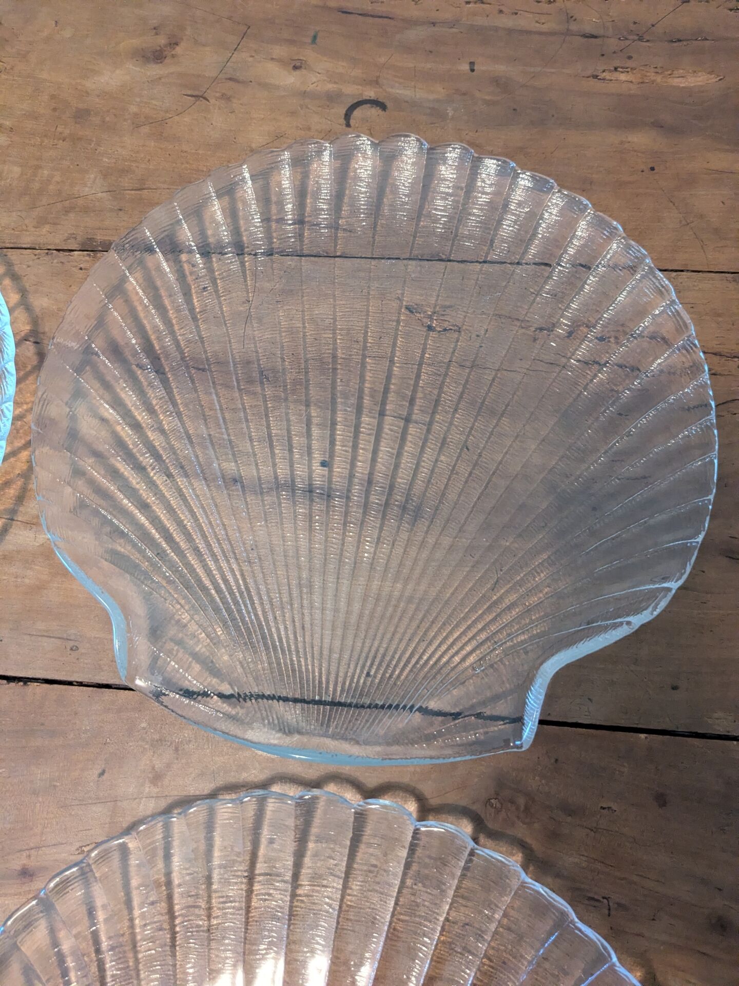 Assiettes coquilles saint jacques