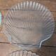 Assiettes coquilles saint jacques
