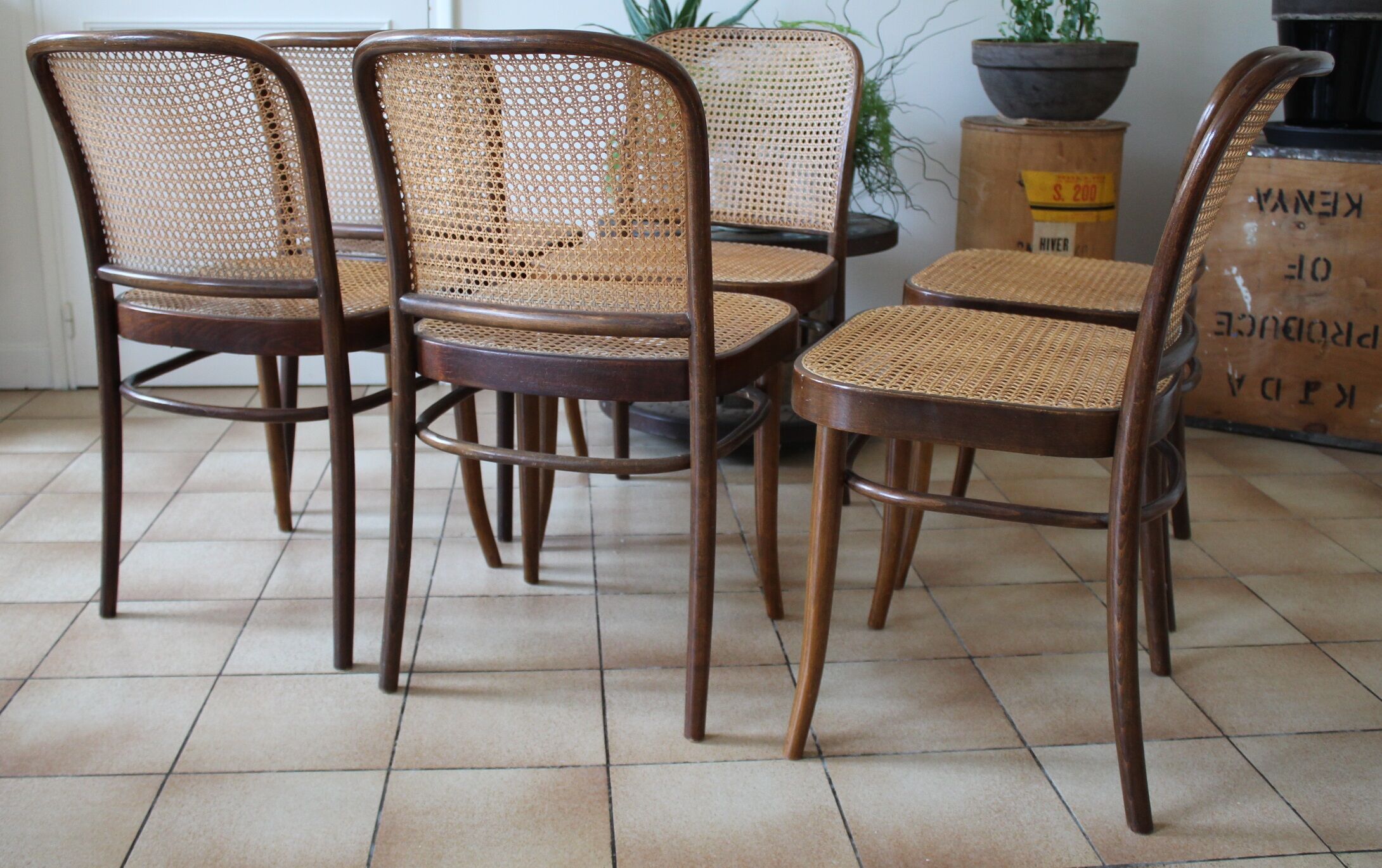 Set of 6 chairs canned drevounia