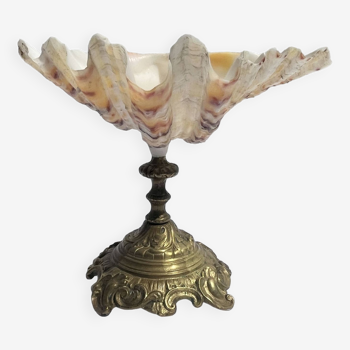 Large shell chalice Old stoup on bronze foot 19th century empty pockets cabinet of curiosities