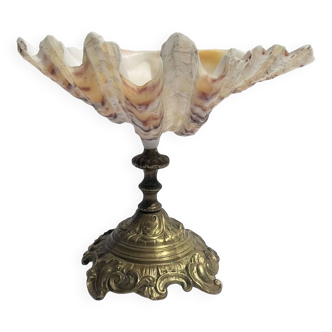 Large shell chalice Old stoup on bronze foot 19th century empty pockets cabinet of curiosities