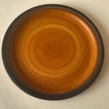 Plat Saint Amand 'Meylan'