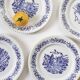 16 illustrated plates
