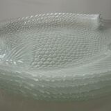 Pair of glass fish-shaped flat plates