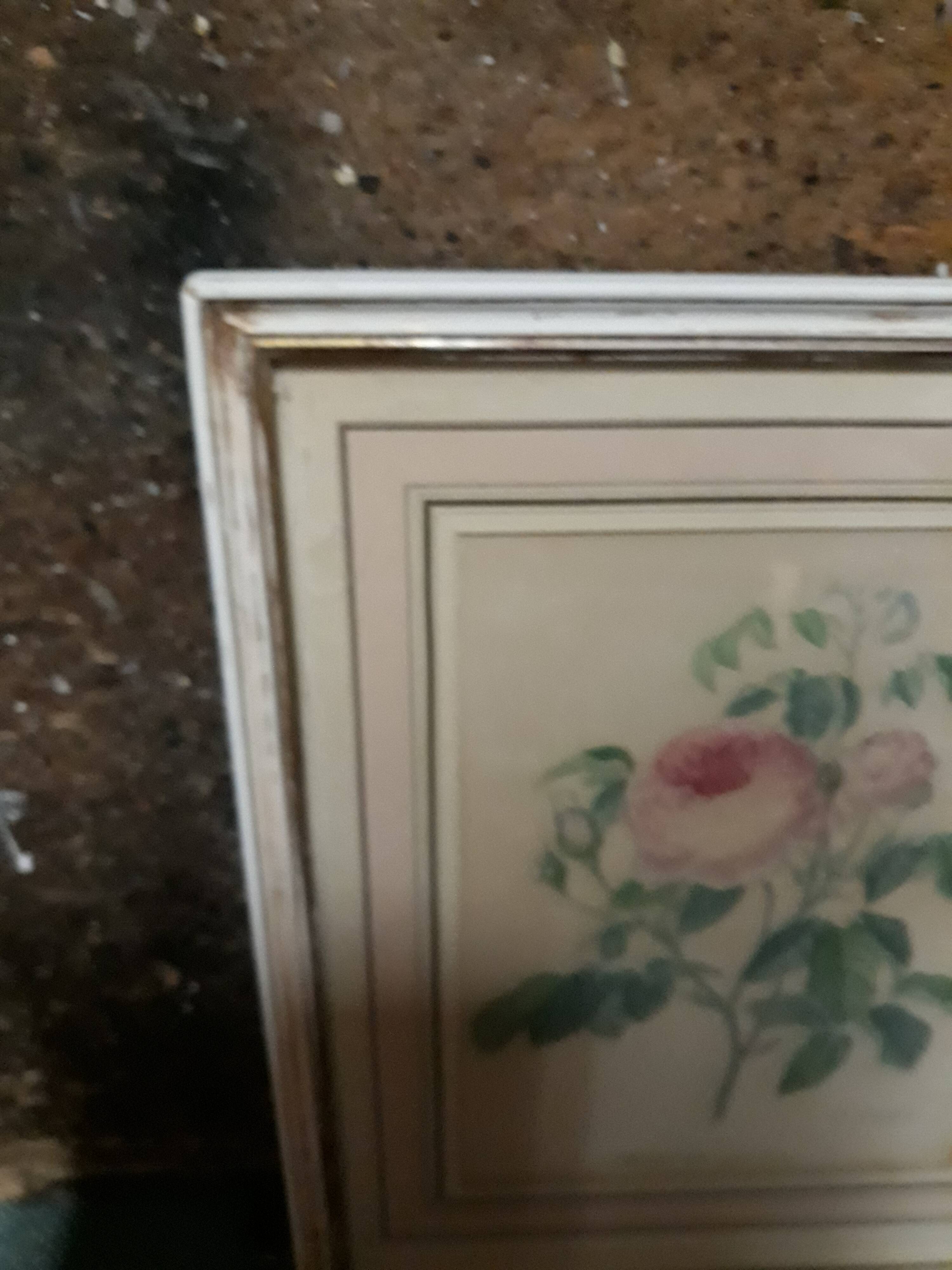 Pink botanical board of vintage gardens