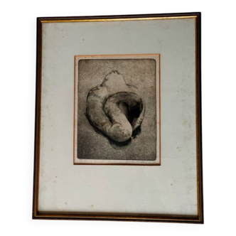 Illegible signature painting – Engraving, no. 11/20 – Sleeping swan – 1970