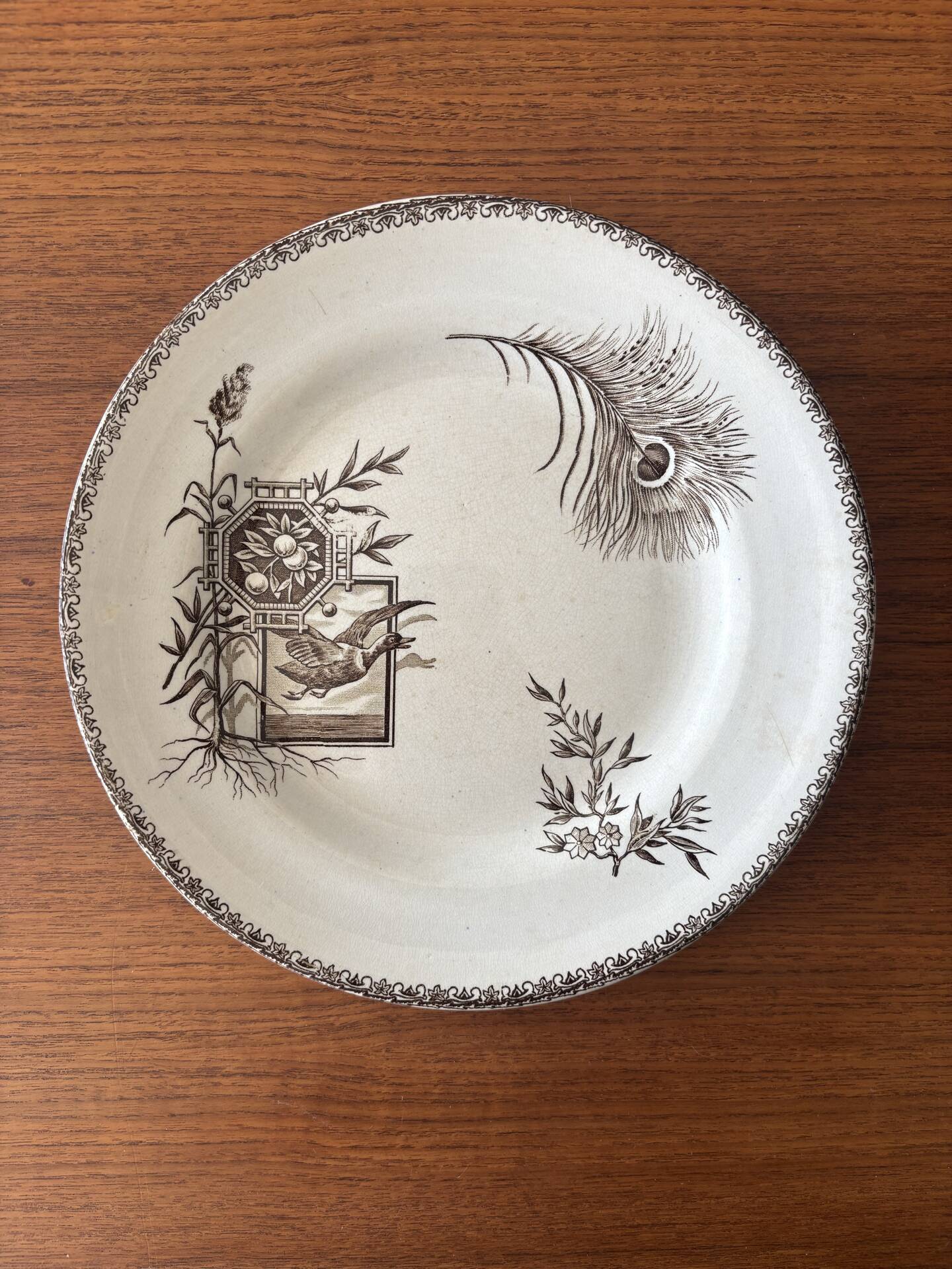 6 ironstone sepia plates | Grand Depot of Porcelains & Earthenware