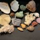 Shell collection