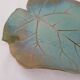 Ceramic Dish Vine Leaf Signature to identify X Luc (40cm)