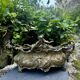Large rock garden planter angel Art Nouveau