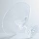 Large Lalique Plumeria crystal bowl circa 1980