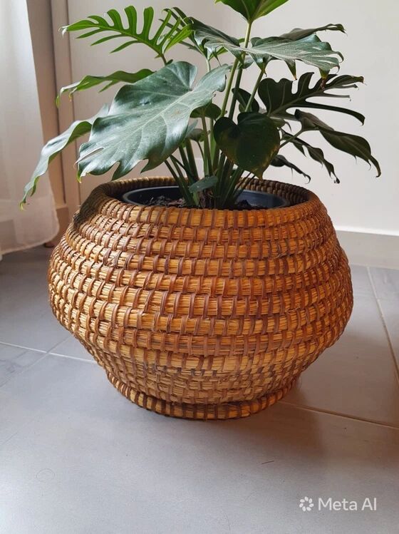 Old straw and bramble cache pot from 1950