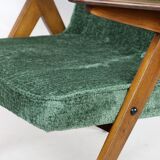 Fauteuil Green Bunny de Józef Chierowski années 1970