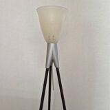 Rosy Angelis floor lamp by Philippe Starck, 1994