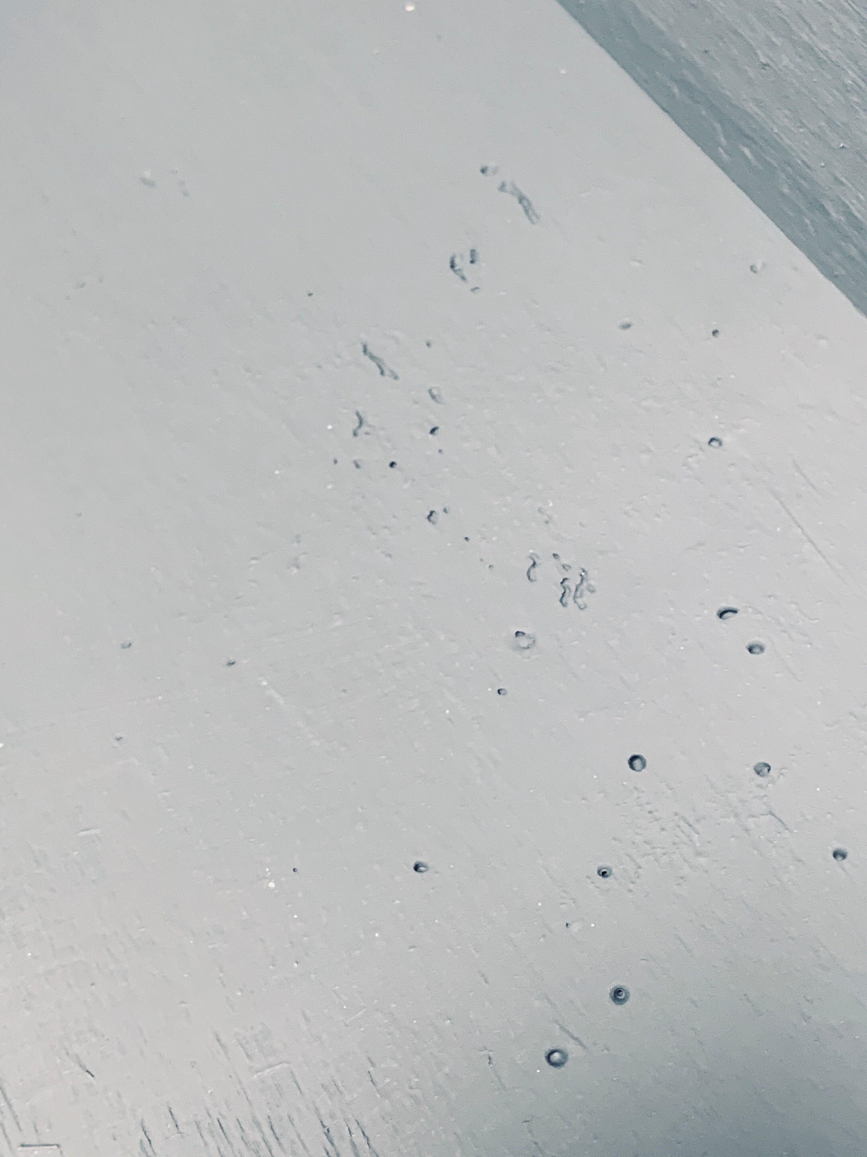 Powder pink Parisian wardrobe