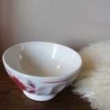 Old standing bowl pink red blue foliage