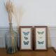 Lithographies de papillons